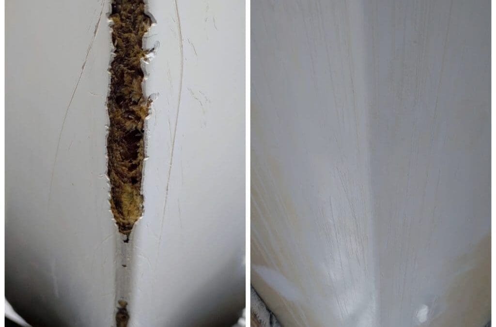 Best Mobile Fiberglass Repair Charleston Area