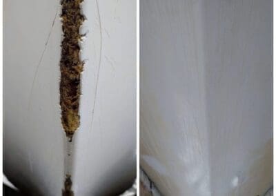 a close up of a boat