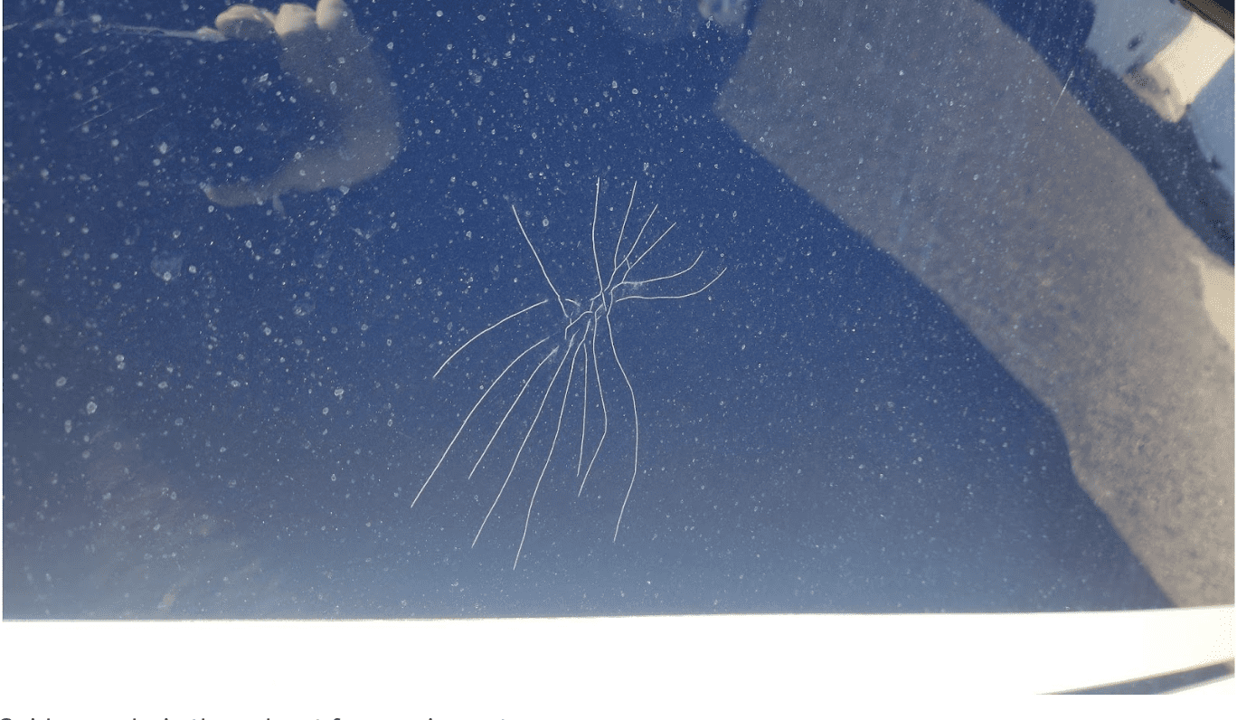 Screenshot 2025-08-16 at 12.58.27 PM Spider cracks in the gelcoat from an impact